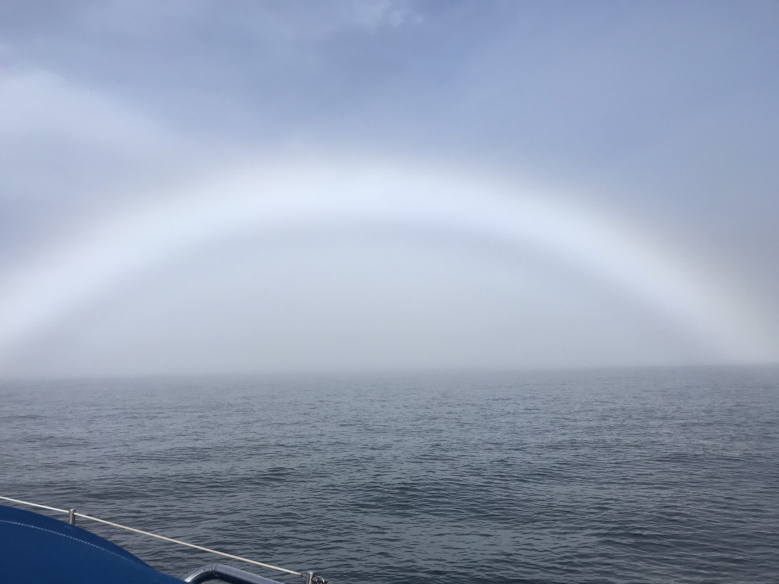 Fogbow complete