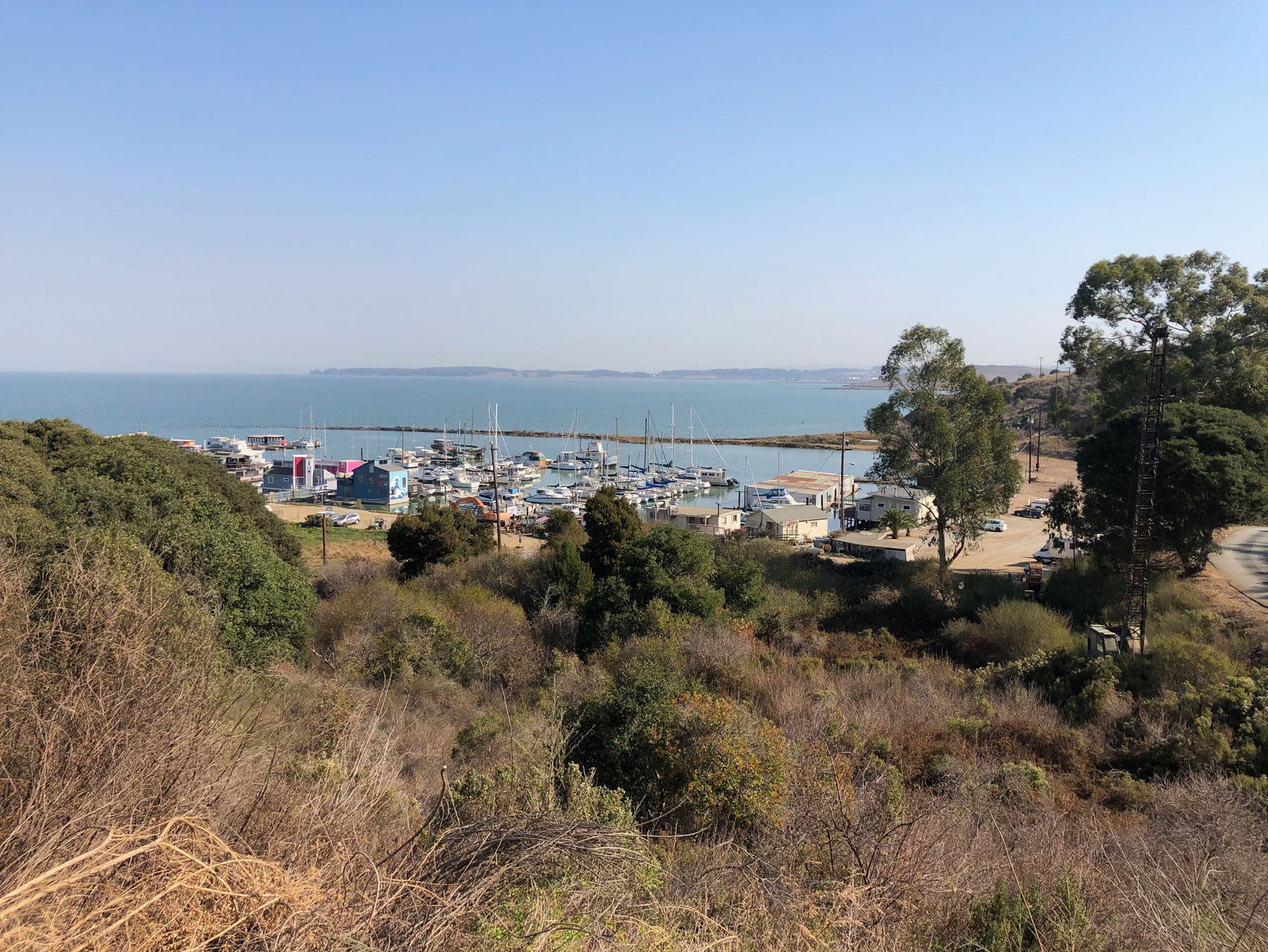 Guess where this Bay Area marina is