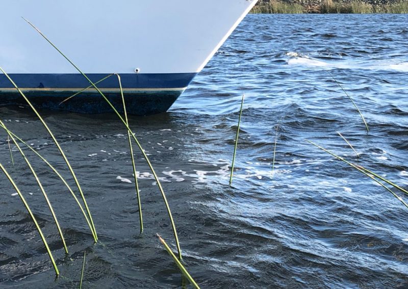 Aground in the tule reeds