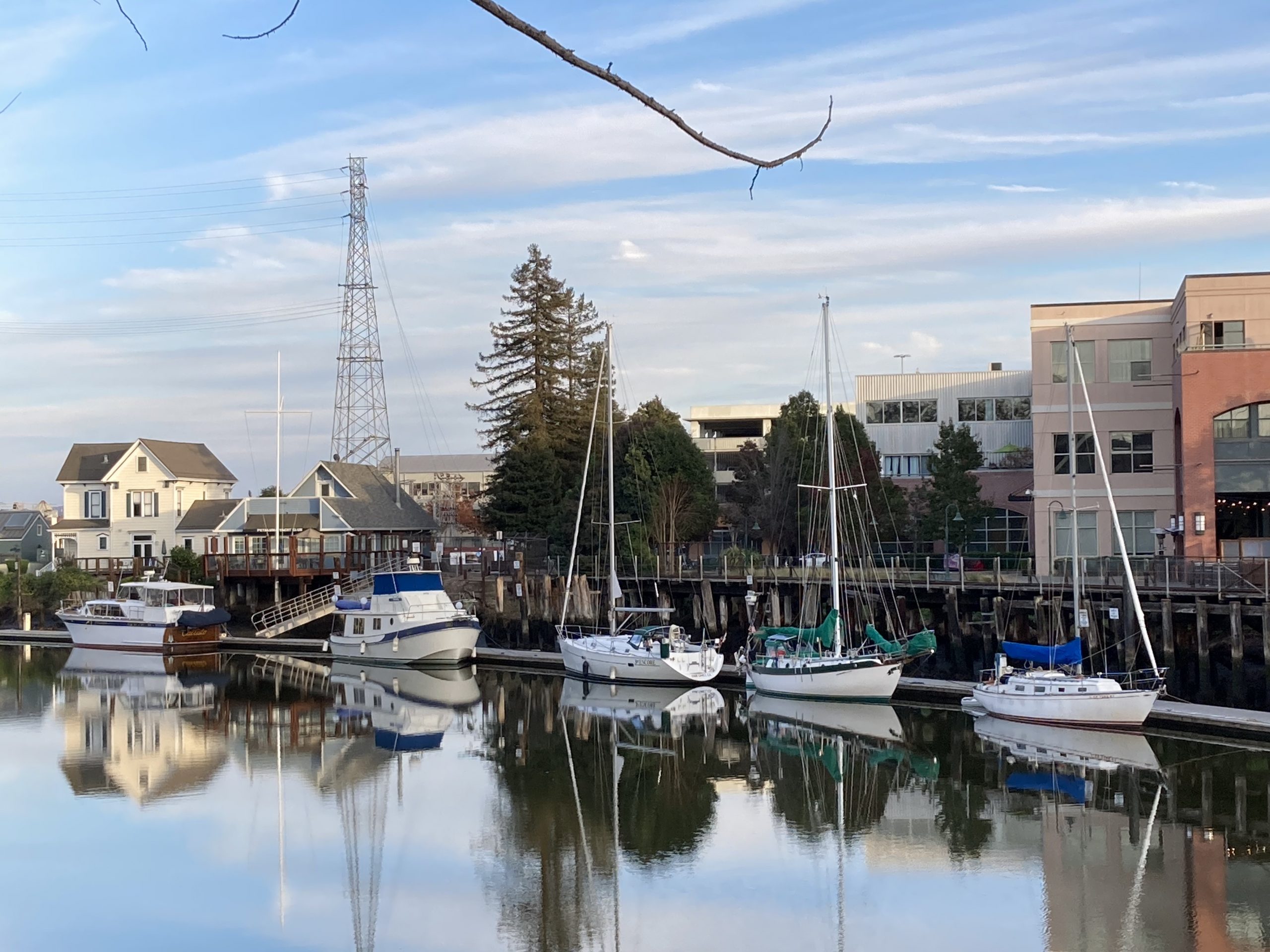 Three friends docked at Petaluma