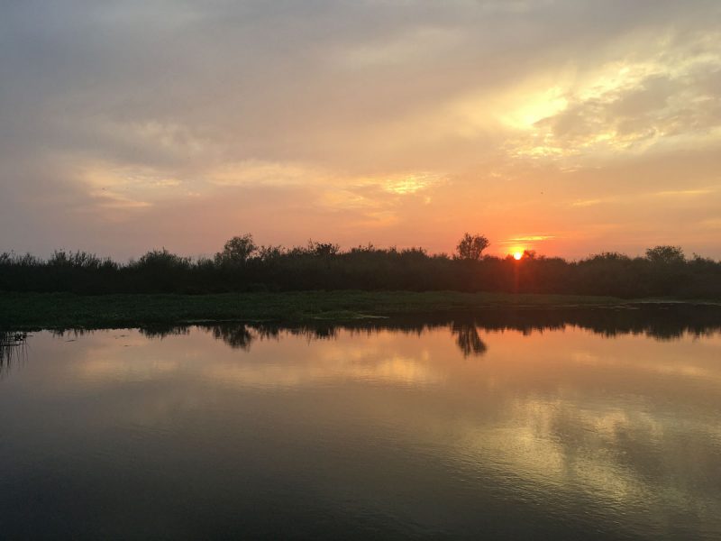 Sunset in the Delta
