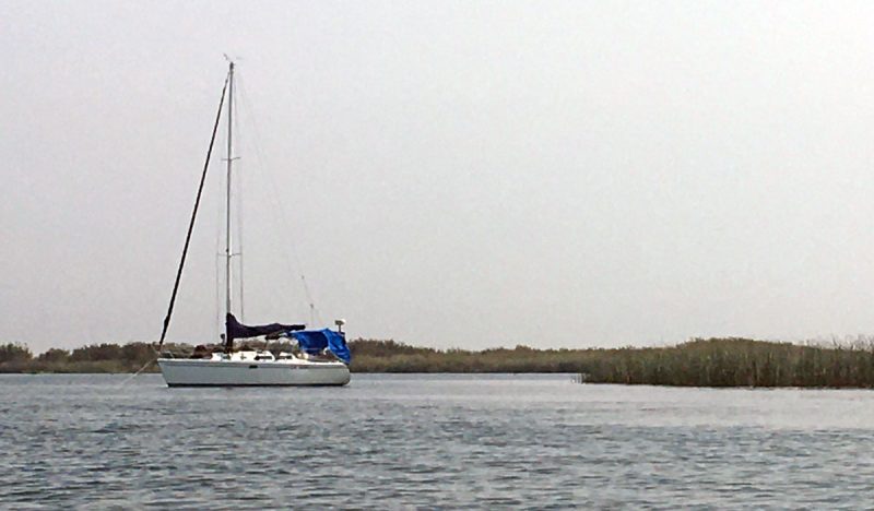 La Vida at anchor in the Delta