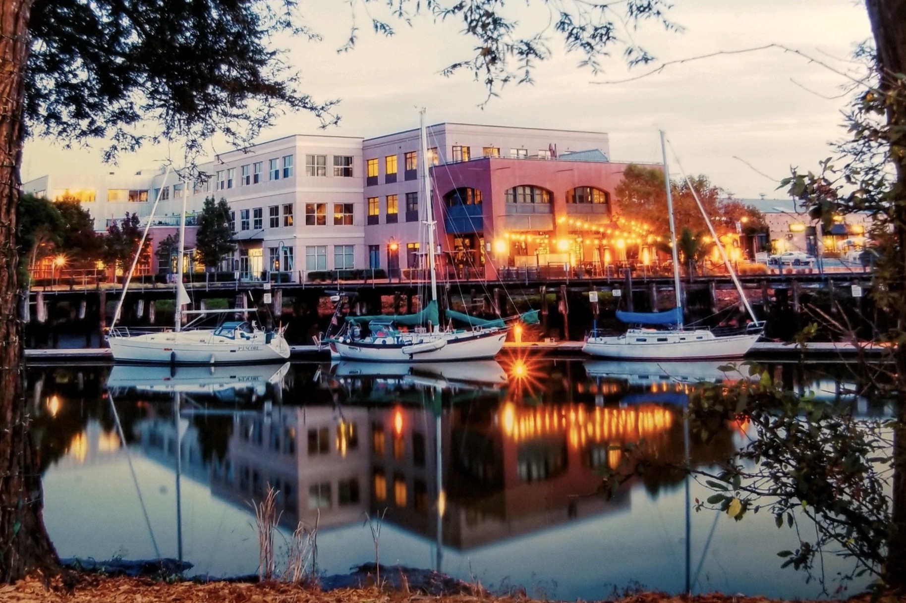 Boats at Petaluma docks