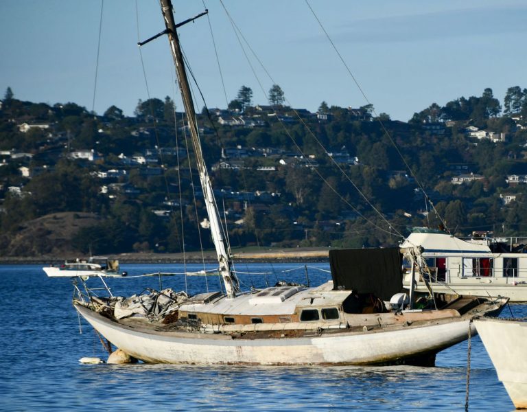 Low tide in Richardson's Bay