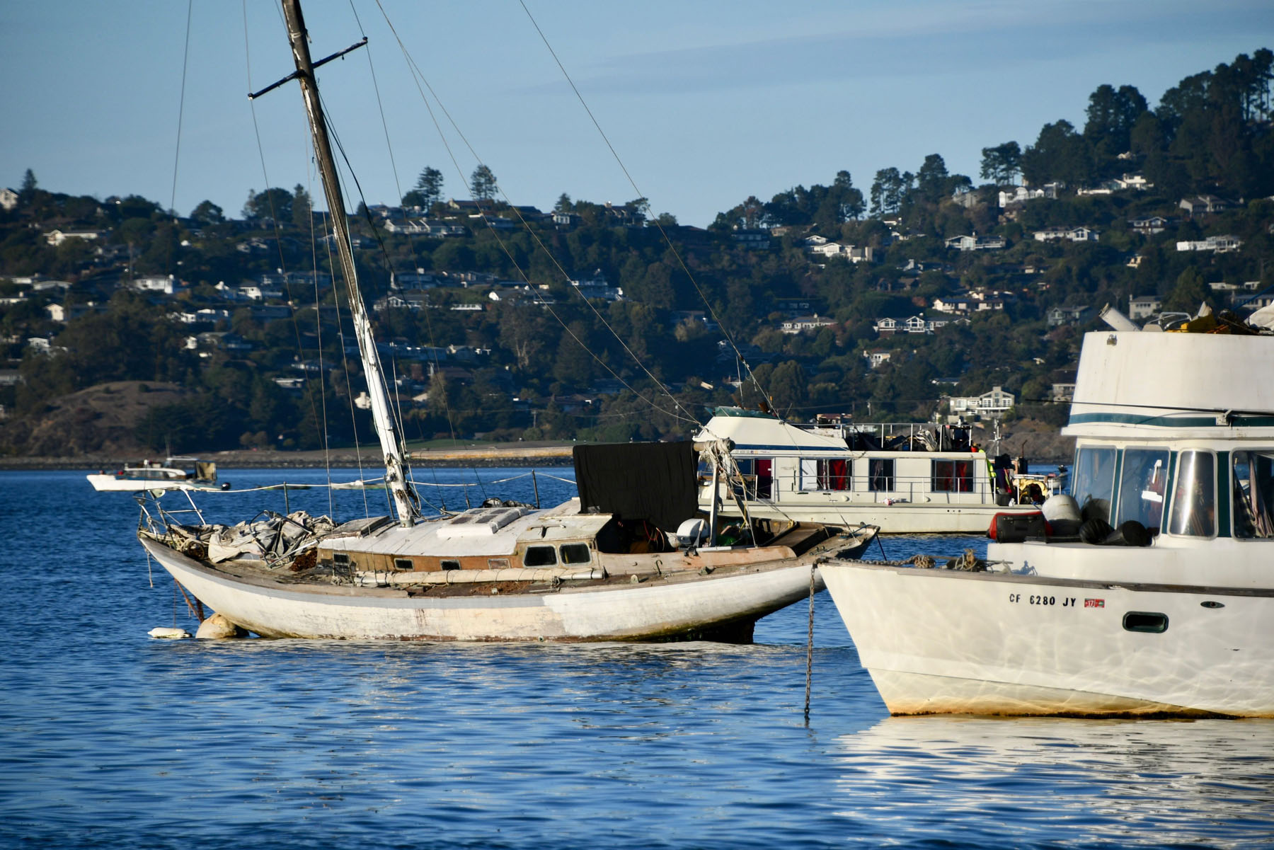 Richardson Bay leaning in