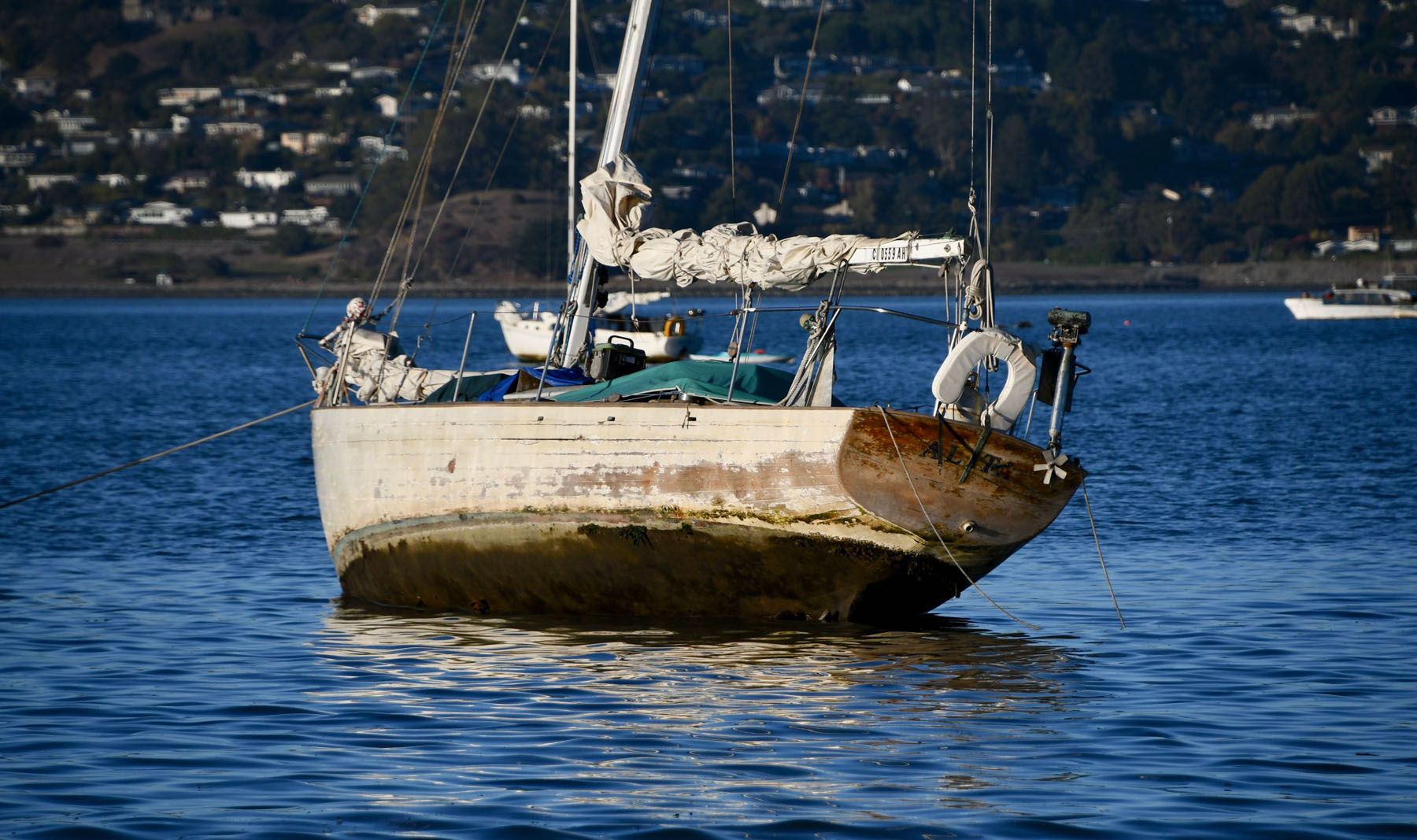 Richardson Bay 3