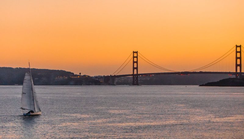 Sparrow and Golden Gate Bridge