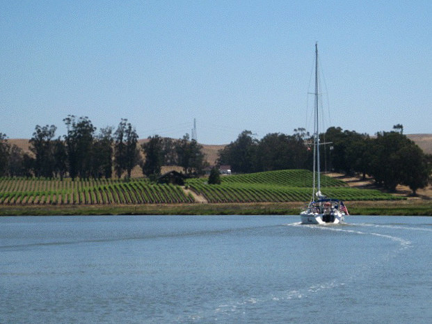 Cruising the Petaluma River