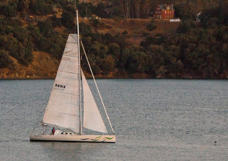 Sparrow with Angel Island