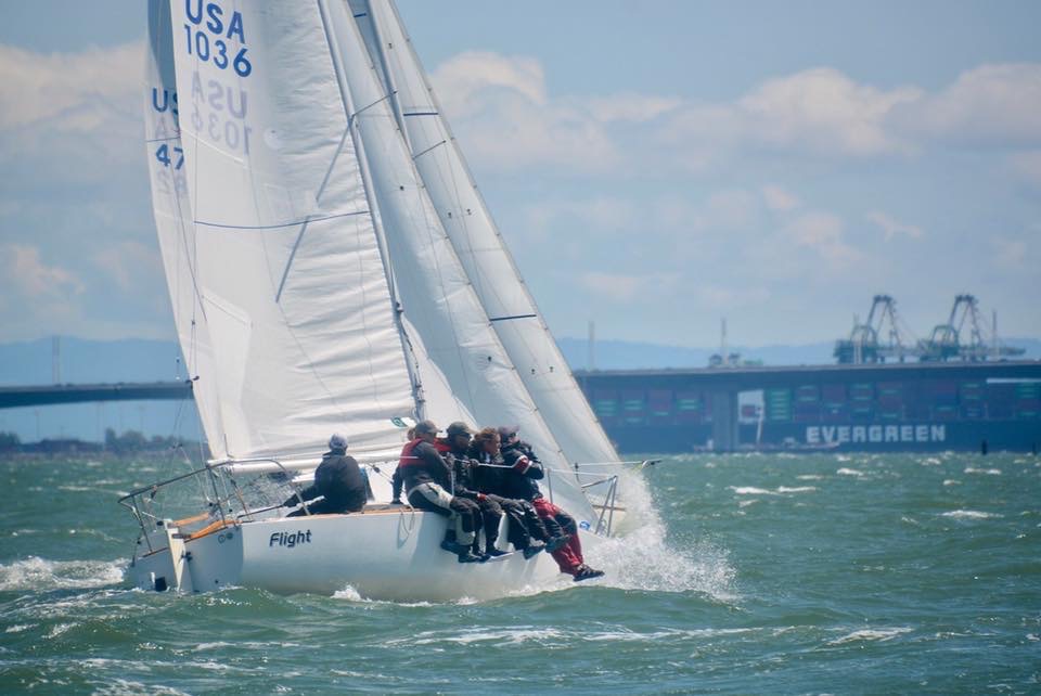 Flight on the Bay