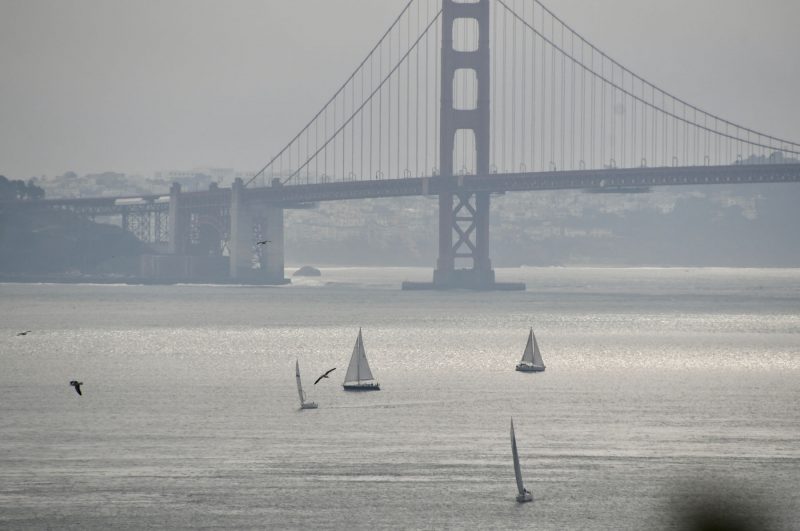 San Francisco Bay sailing