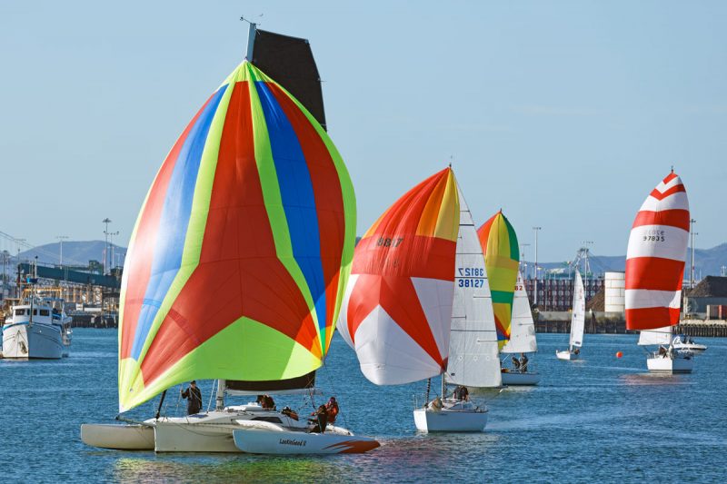 spinnakers on the Estuary