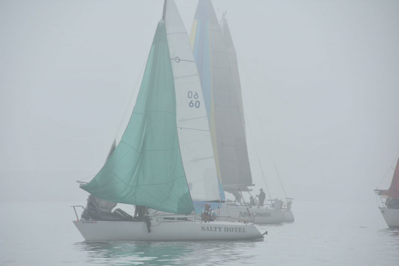 Salty Hotel and Mudshark in the fog