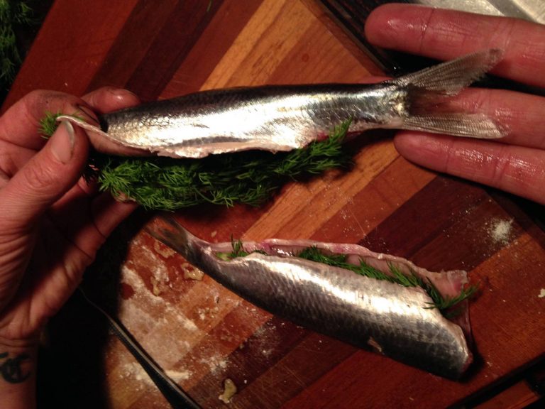 It's Herring Festival Time at Cass Gidley Marina, Sausalito