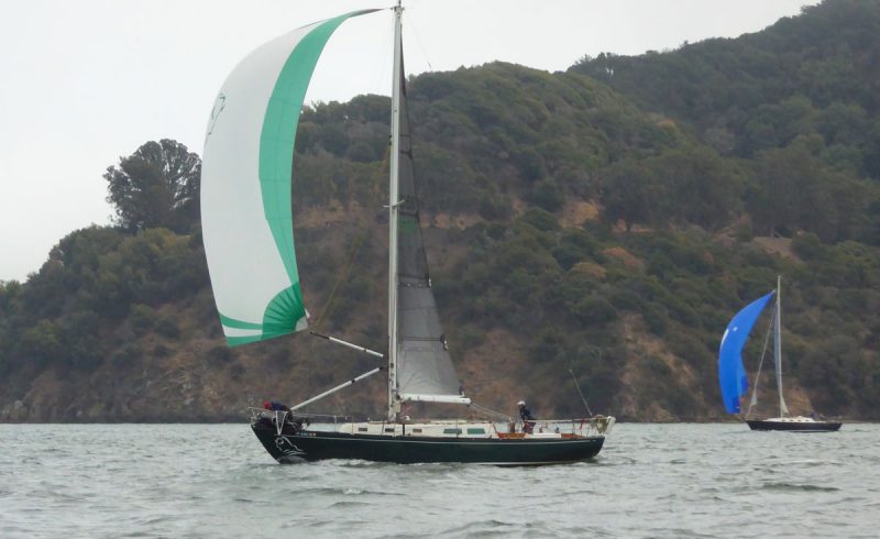 Green Buffalo and Surprise! in Raccoon Strait