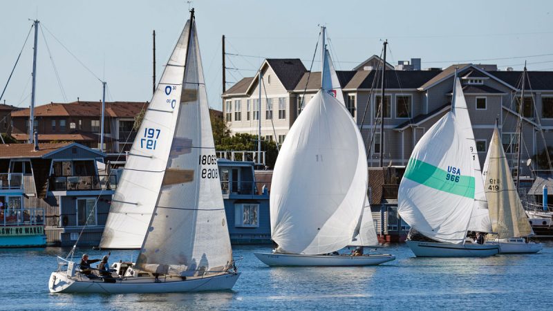 boats racing on the Estuary