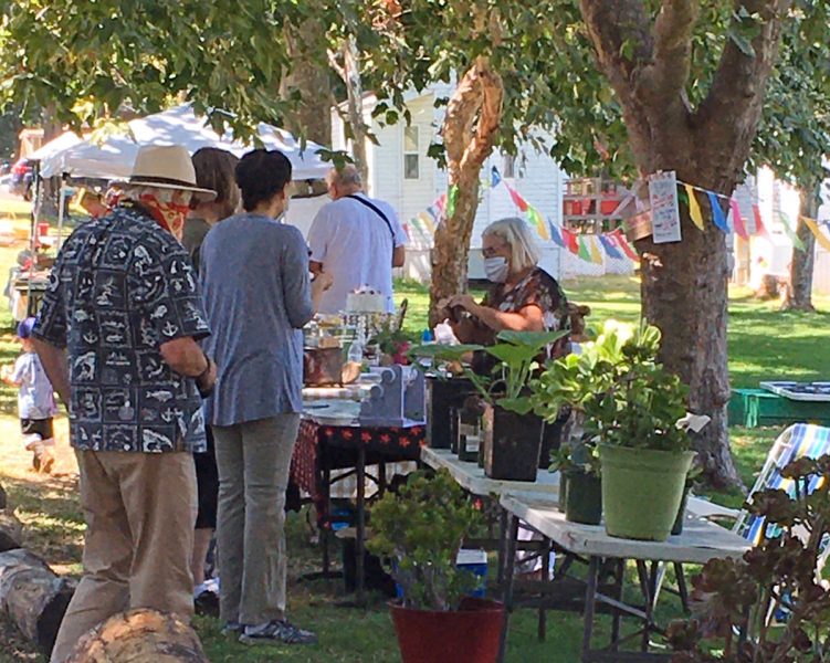 Shady park at Delta Bay