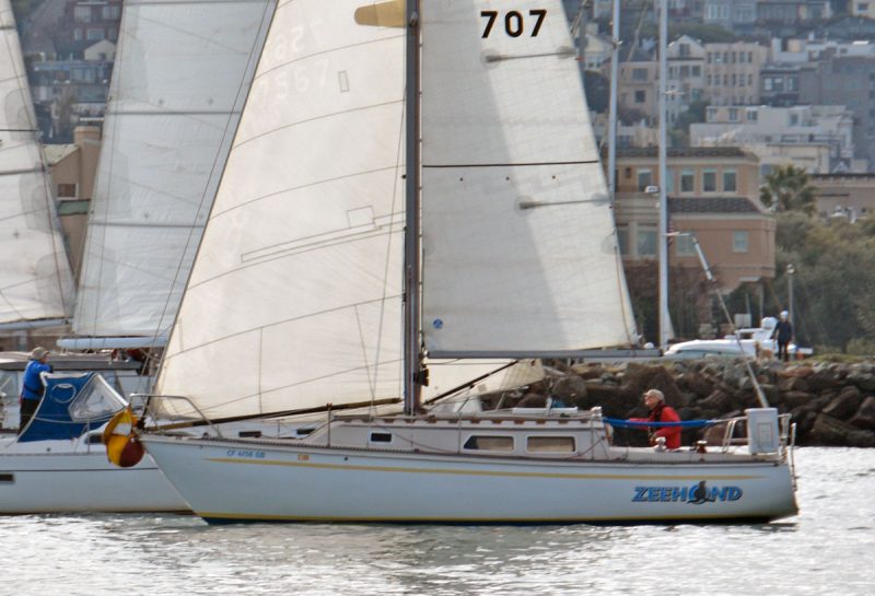 Zeehond at the start