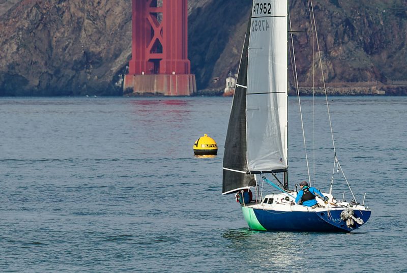 Wolpertinger heads toward the Golden Gate Bridge