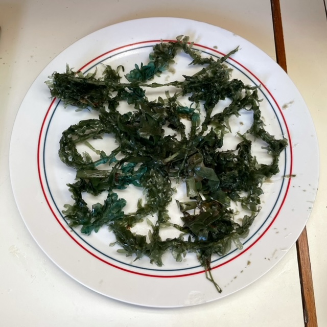 Seaweed Salad