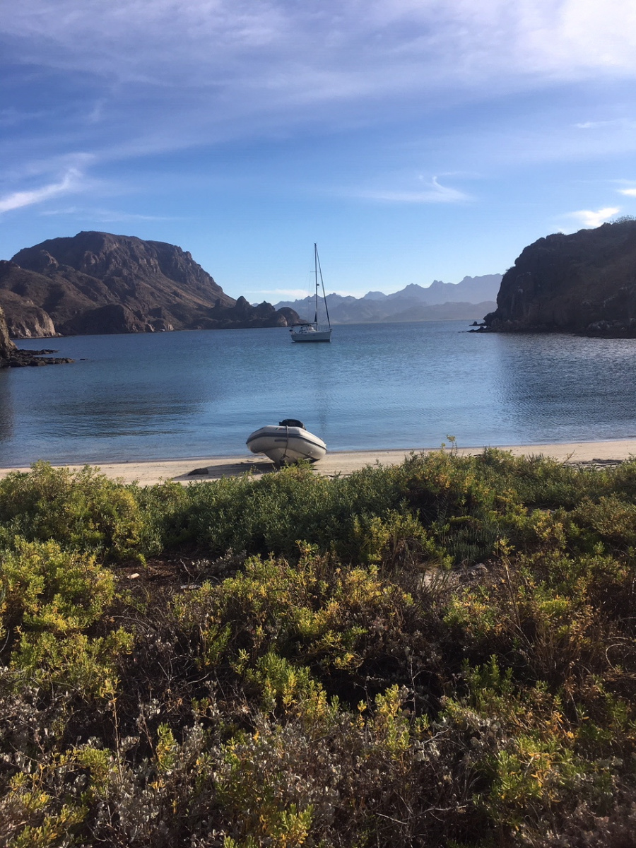 Freedom on Sea of Cortez