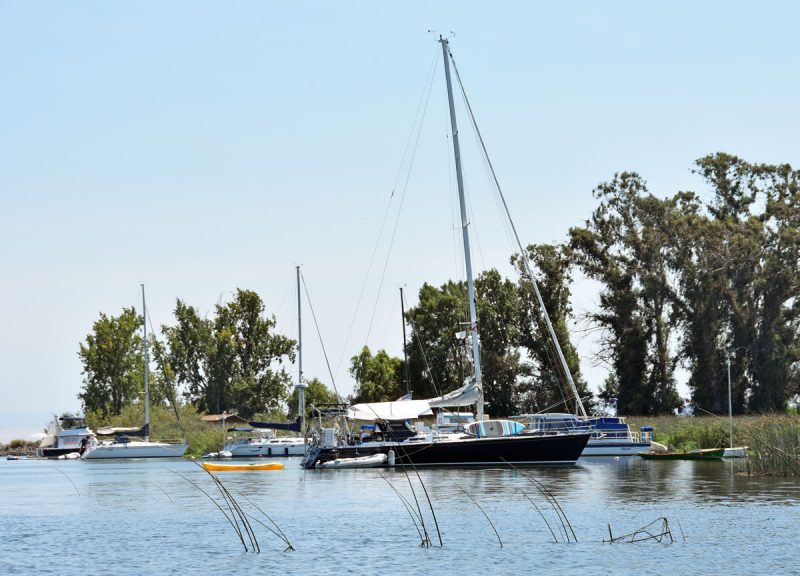 Anchored boats