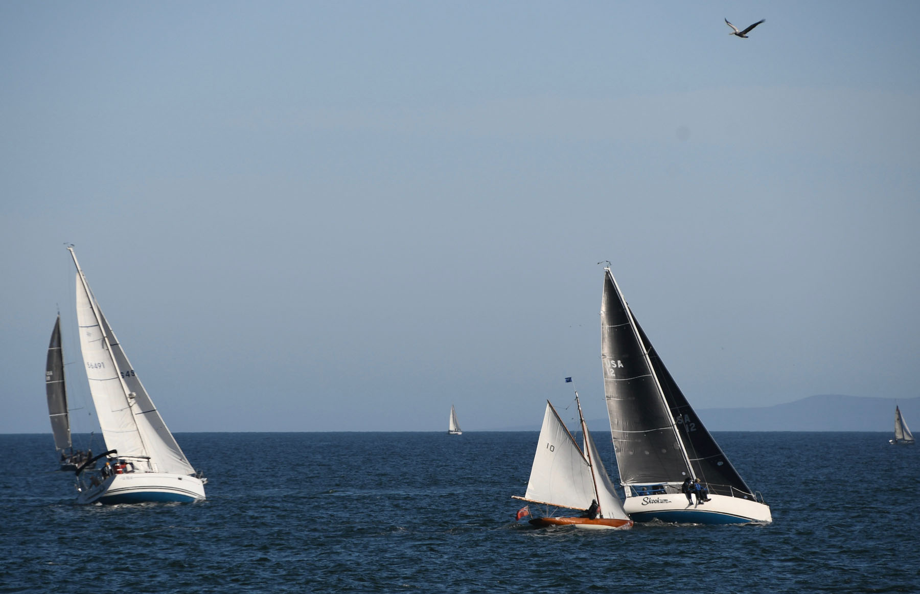 santa barbara yacht club wet wednesday