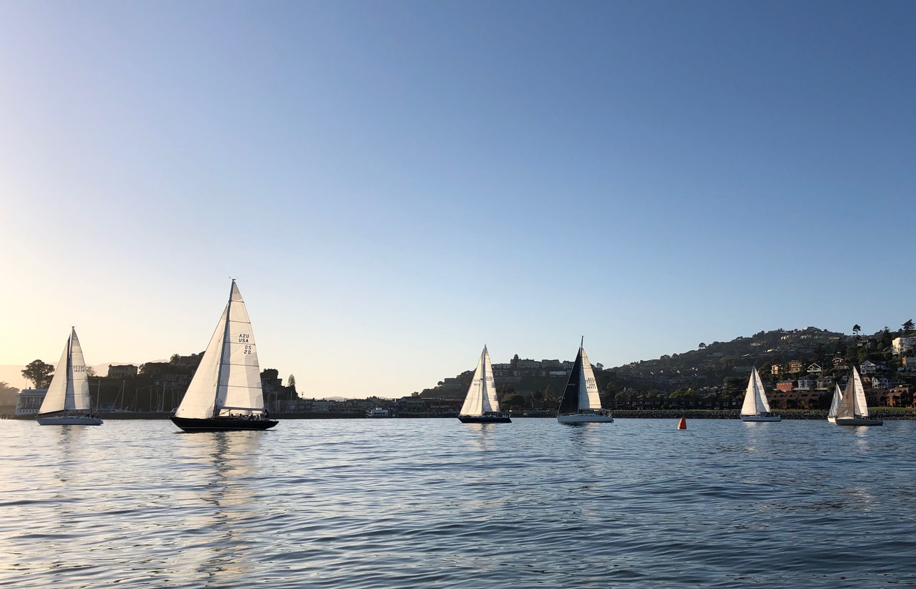 Corinthian Yacht Club Friday Night Races