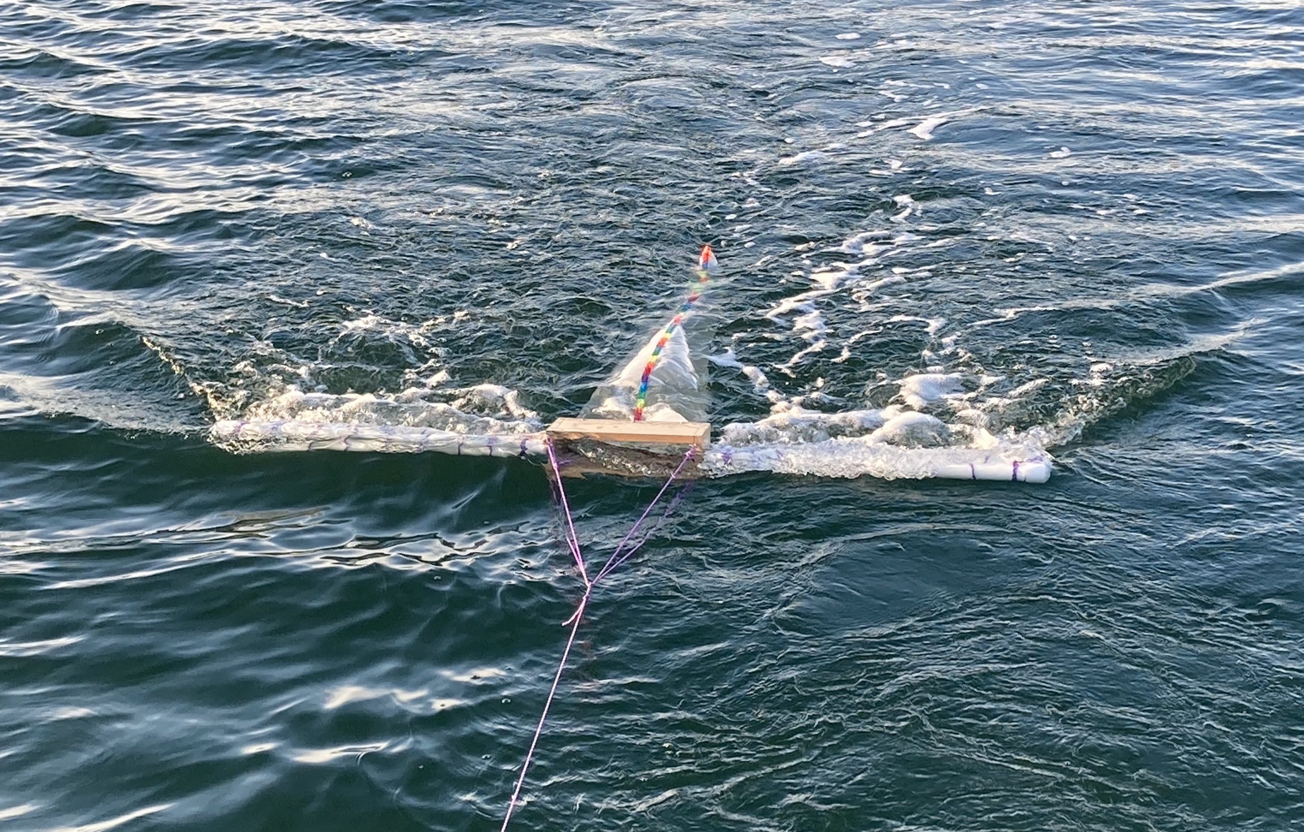 Cleaning up the Bay