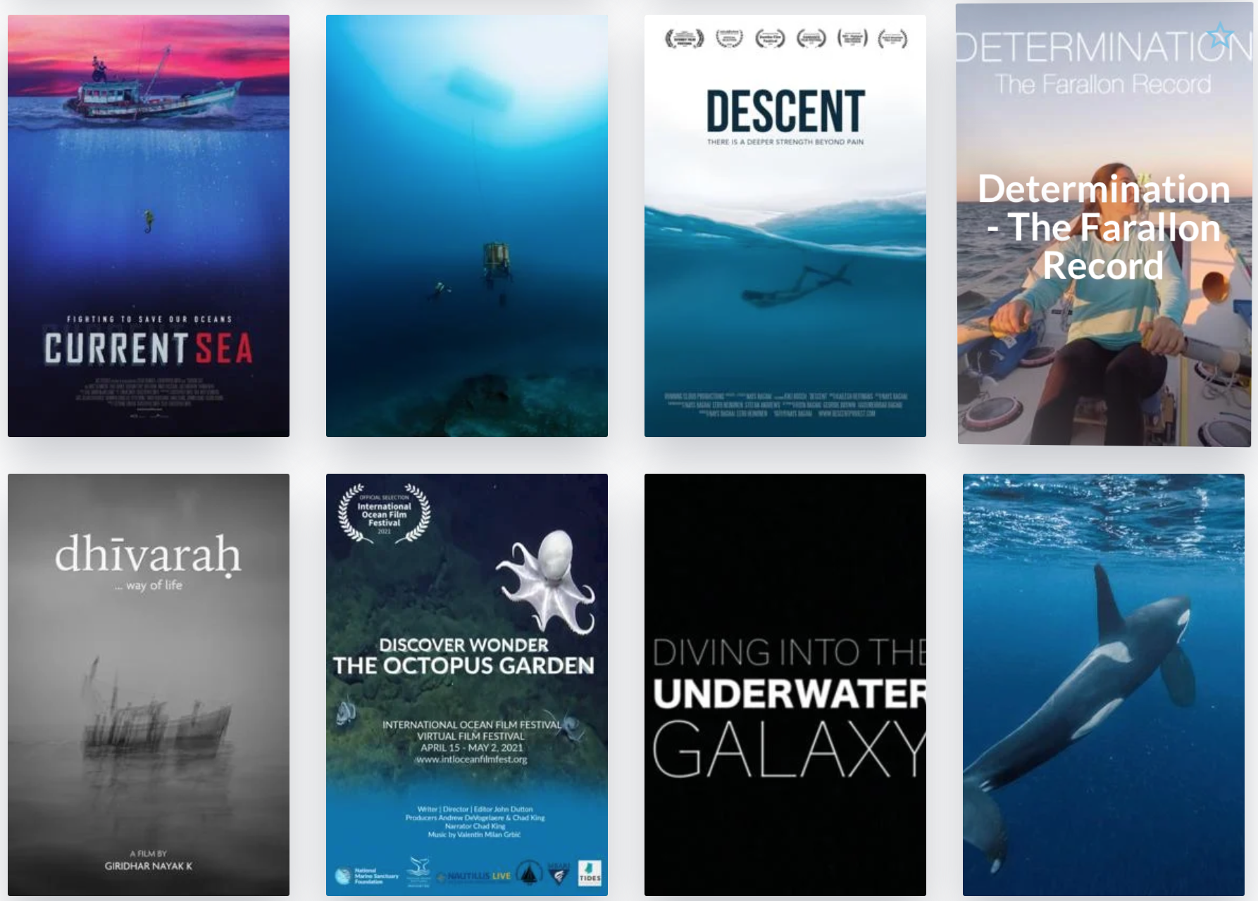 International Ocean Film Festival