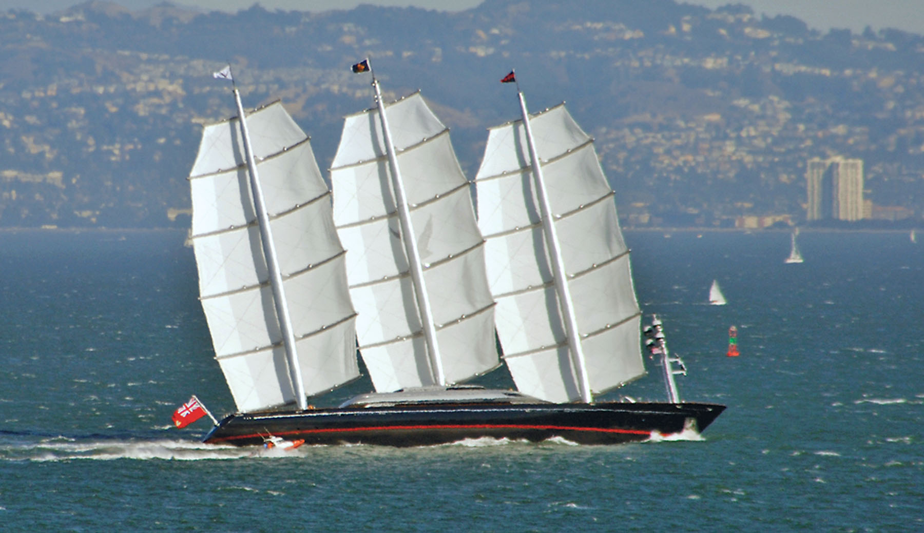 Maltese Falcon