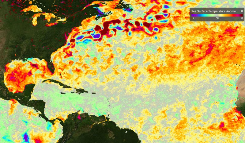 North Atlantic Sea Surface Temperatures