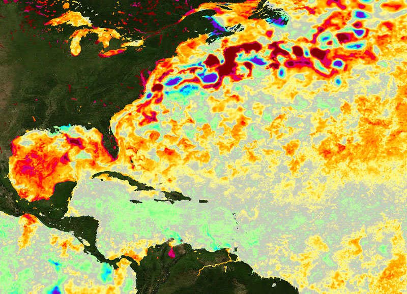 Graphic of sea surface temps