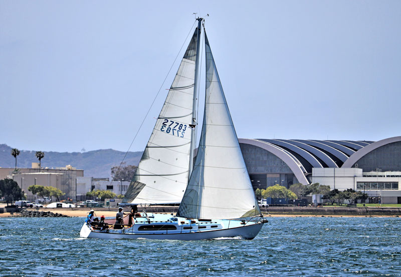 Lola sailing in San Diego