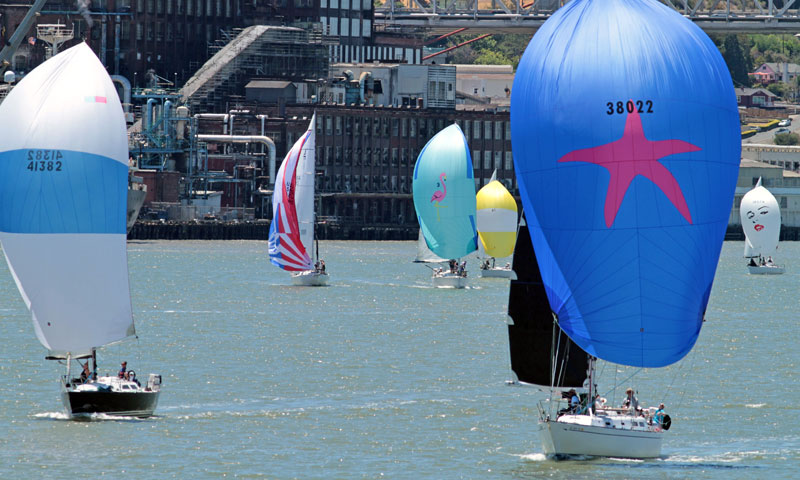 Fleet with spinnakers, C&H plant in the background