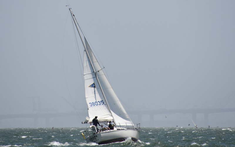 Small sails on the Bay