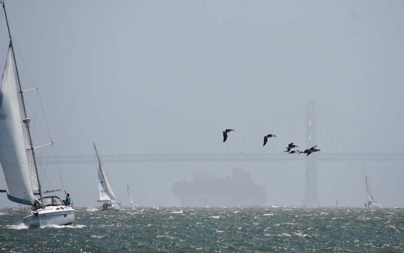 Sailing San Francisco Bay