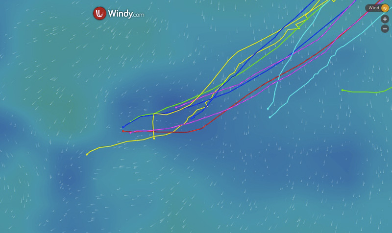 Windy with track