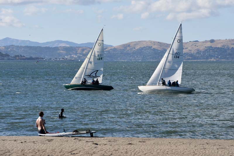 Crissy Field