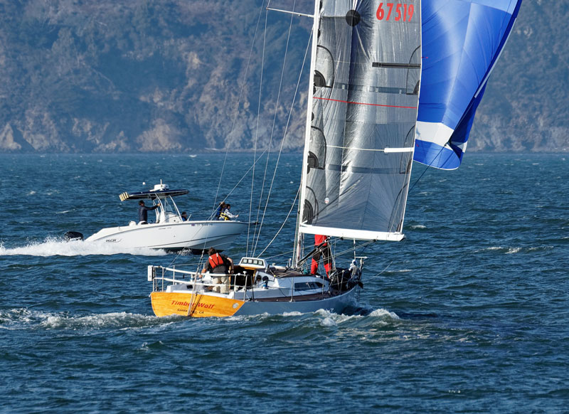 Timberwolf, with Marin Headlands