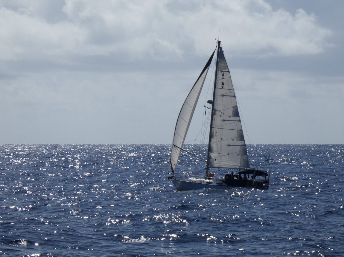 Islander on the Pacific