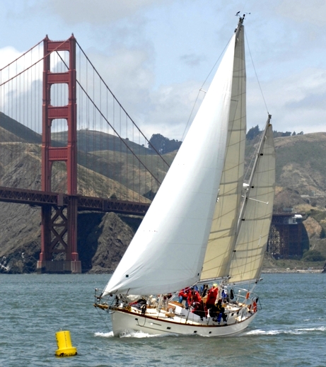 Pegasus on the Bay