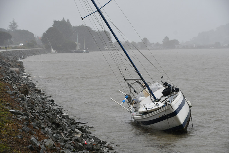 Beached in Tiburon