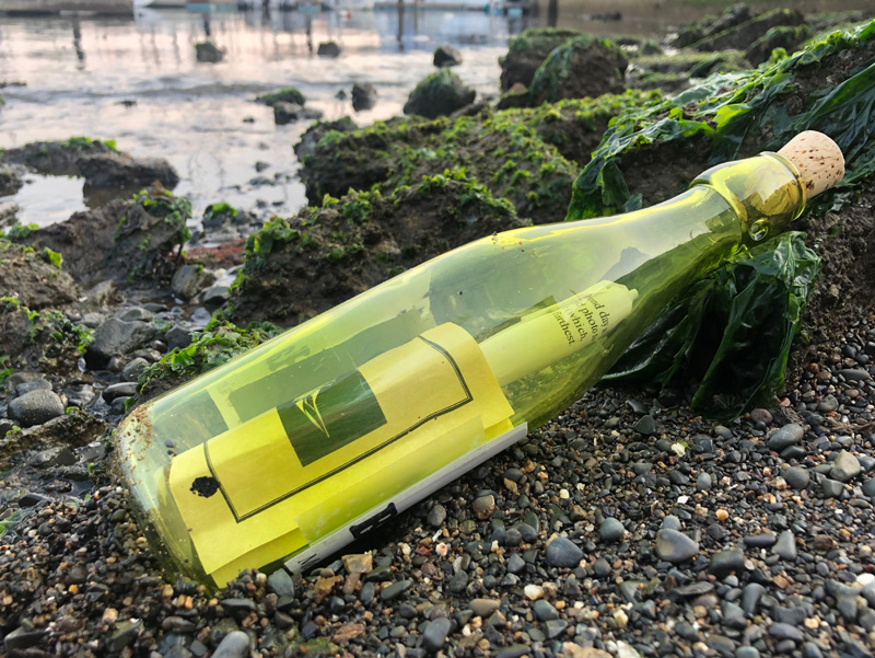 Latitude 38 Message in a Bottle