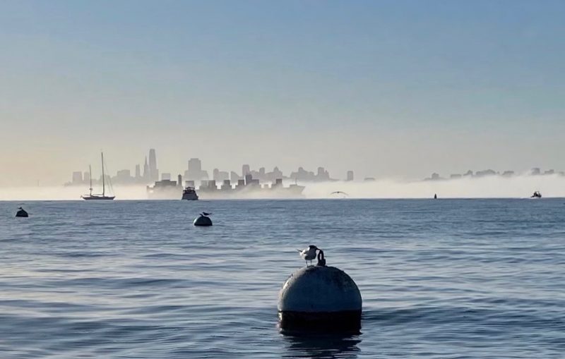 San Francisco's skyline