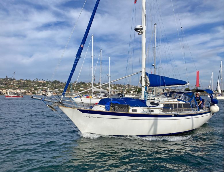 Baja Ha-Ha boat parade