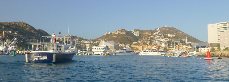 IGY Marina in Cabo San Lucas