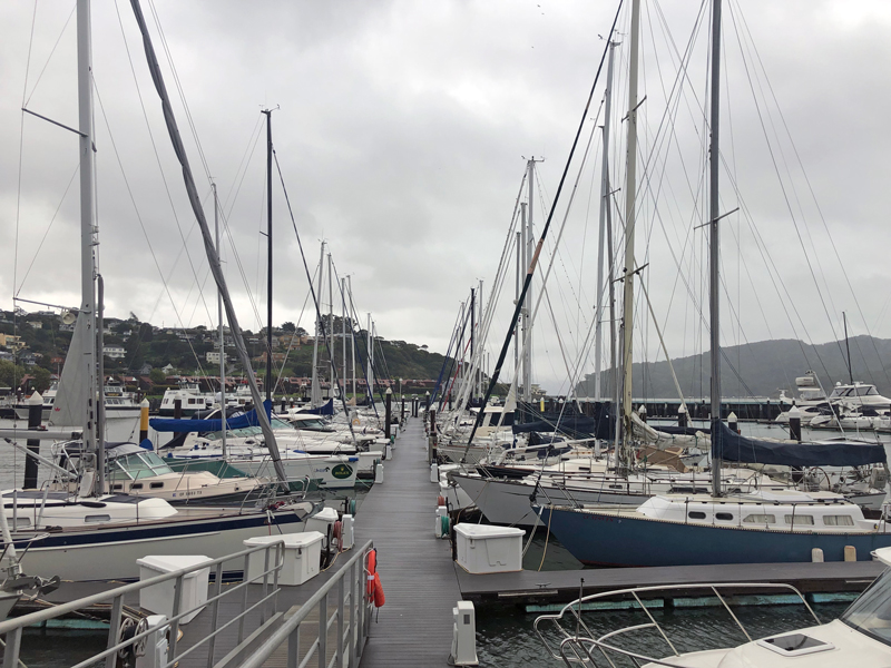 rainy docks at Corinthian Yacht Club