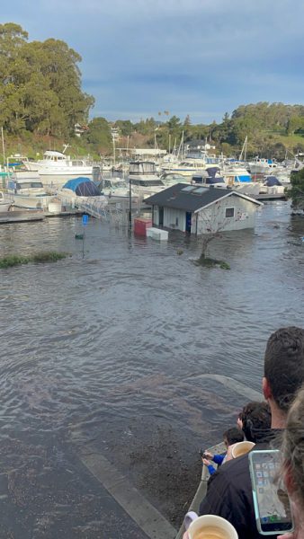 Santa Cruz Harbor tsunami