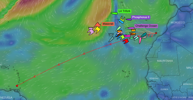 RORC Transatlantic